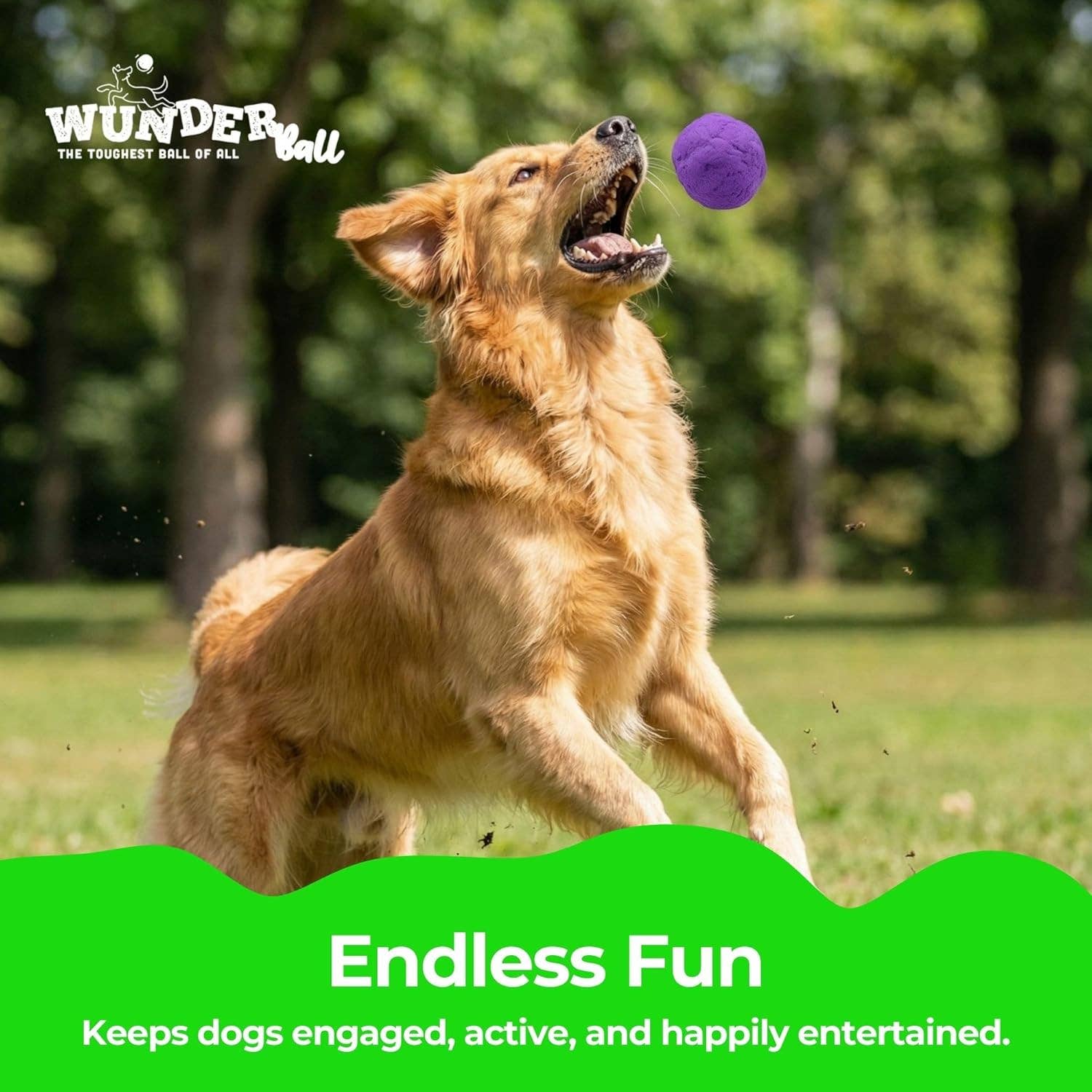 WUNDERball XL Dog Toy Refill – 12 Pack
