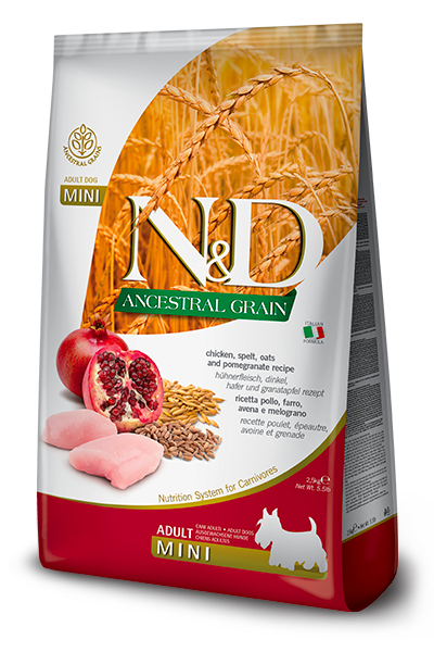 Farmina N&D Ancestral Grain Chicken, Spelt, Oats & Pomegranate Adult Mini Dog Food – 5.5 lb