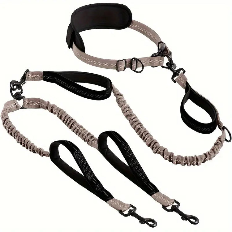 Elastic 2-Dog Leash