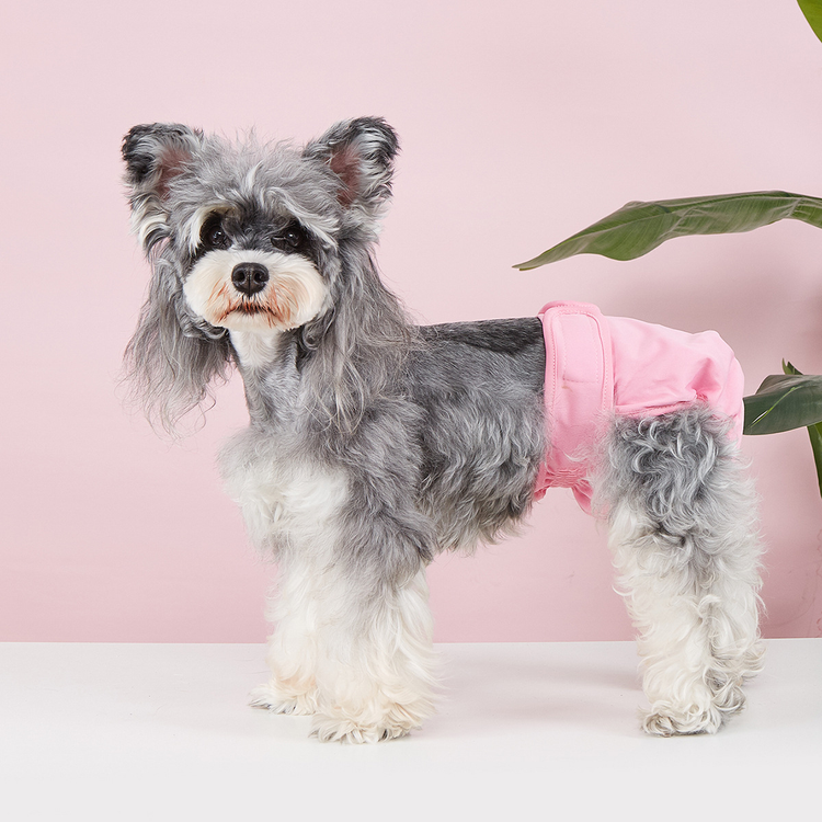 Pet Food Culture Washable Dog Sanitary Pants
