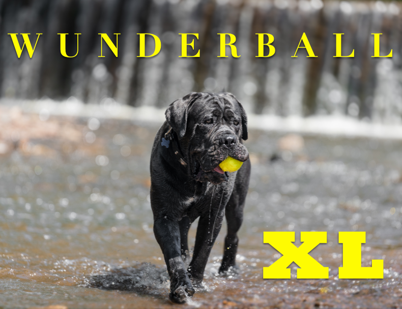 WUNDERball XL Dog Toy Refill – 12 Pack