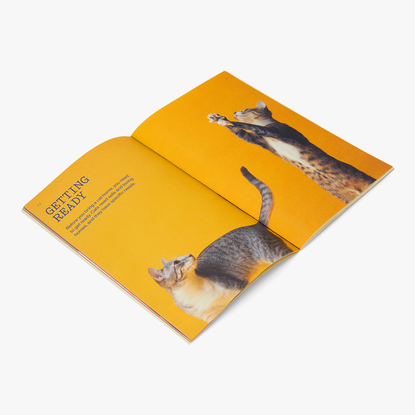 Cat Parenthood Zine