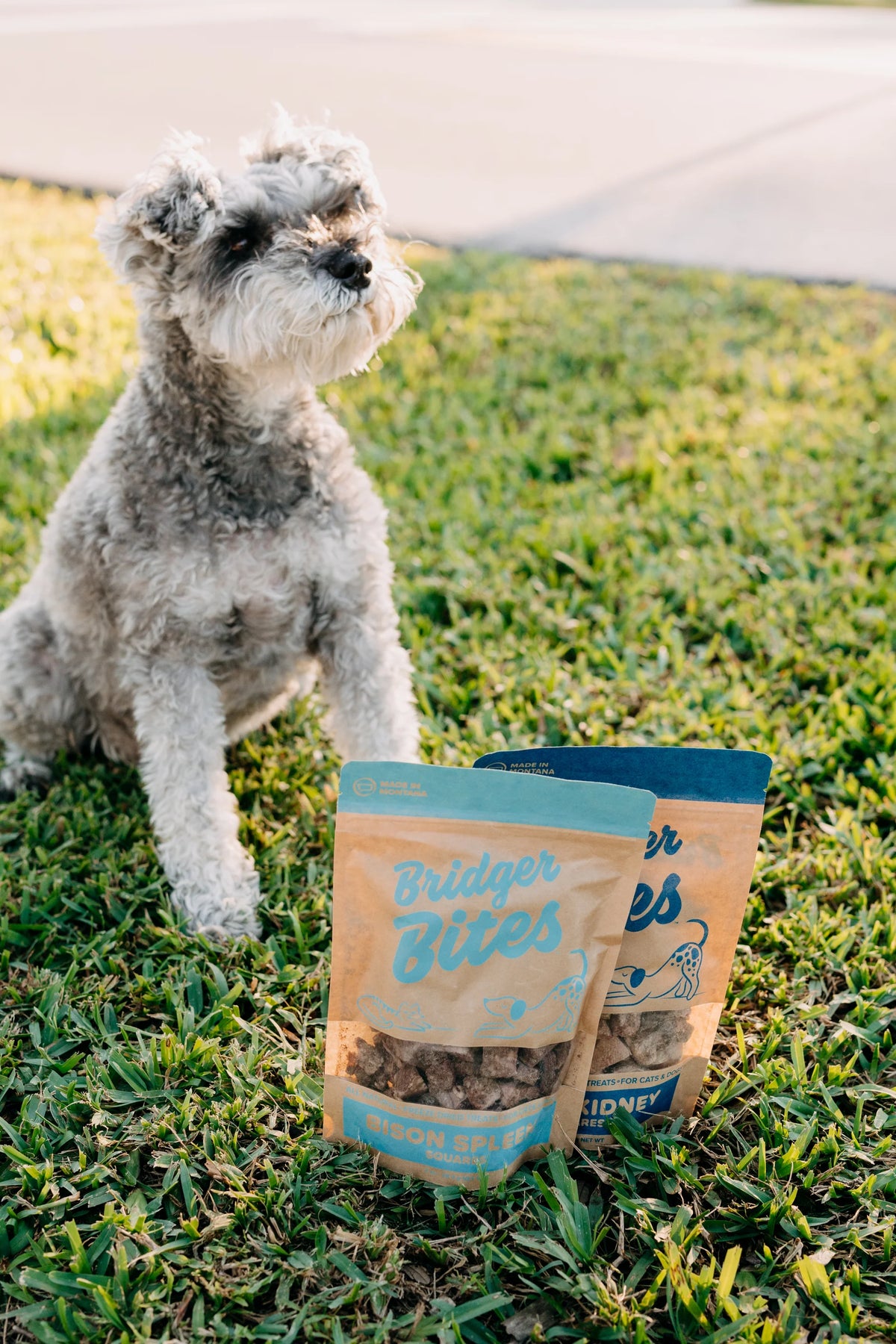 Bridger Bites Freeze-Dried Bison Spleen Treats – 3 oz