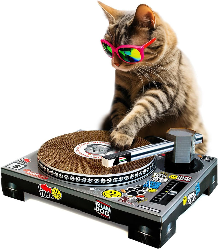 DJ Turntable Cat Scratcher & Playhouse