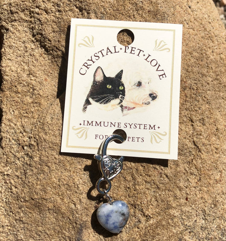 Crystal Pet Love Sodalite Heart Pet Pendant
