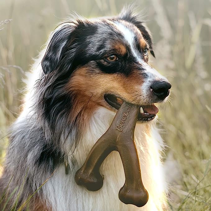 Benebone Wishbone Bacon Flavor