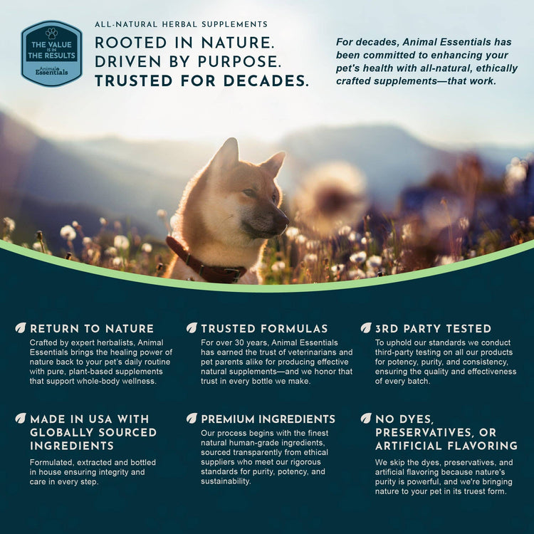 Detox Herbal Tonic Blend | Support Normal Liver Detoxification