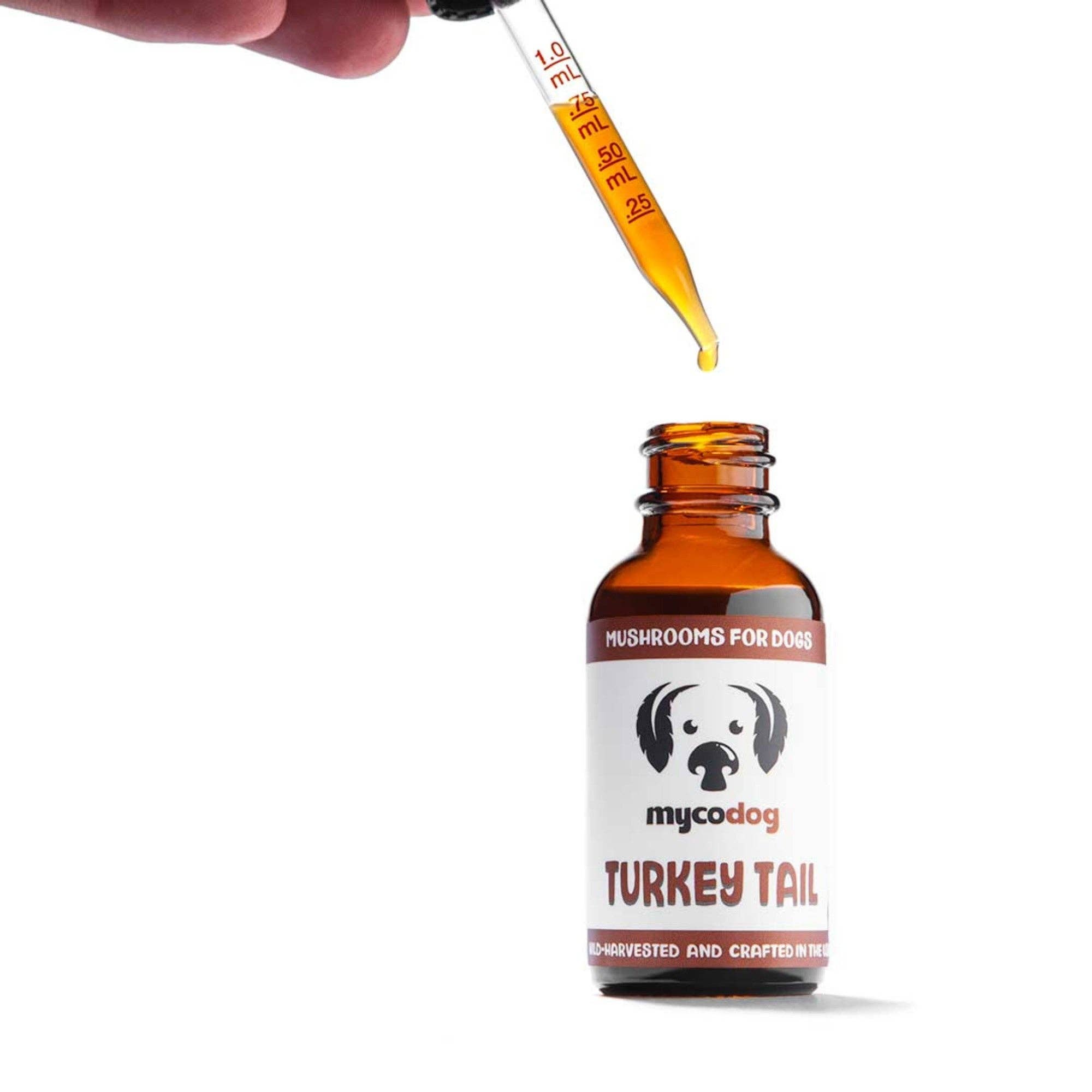 Turkey Tail Mushroom Tincture for Dogs | Immune Support
