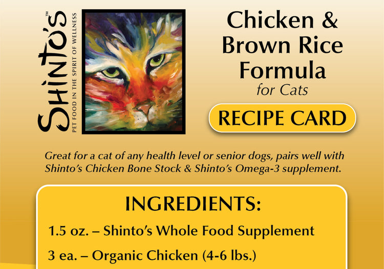 Recipe Card - Chicken & Brown Rice WET Formula for Cats