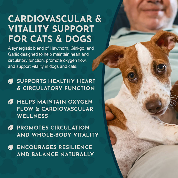 Heart Health Herbal Tonic Blend | Supports Cardiovascular Function