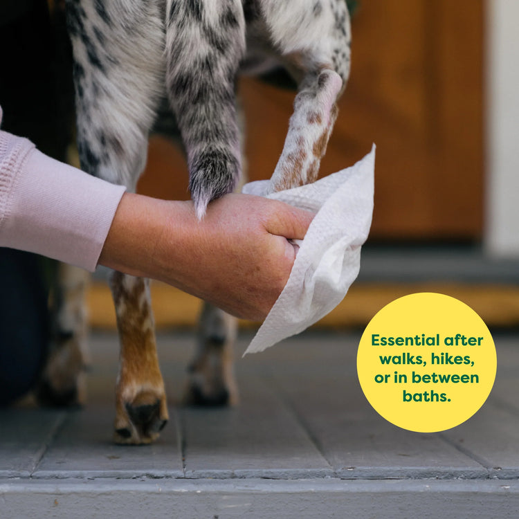 Earth Rated Unscented Dog Wipes – 60 Count