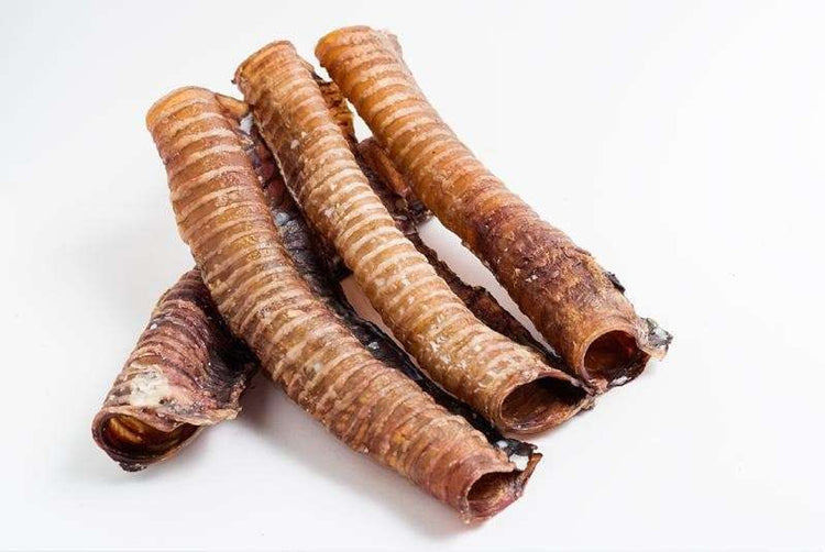 Shinto's Trachea Dog Treat – Natural Chew for Dogs