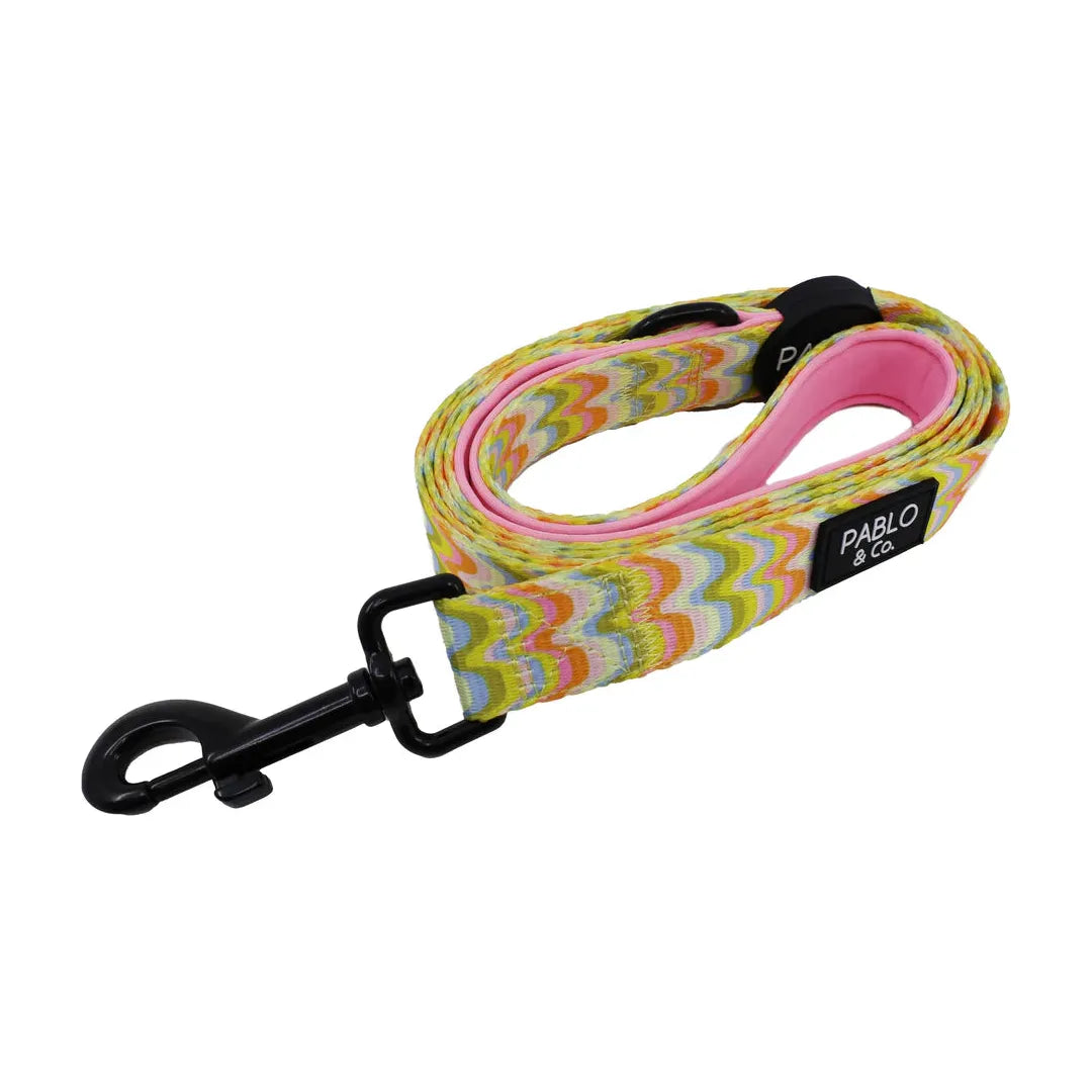 Pablo & Co. Dog Leash – Boho Waves Design