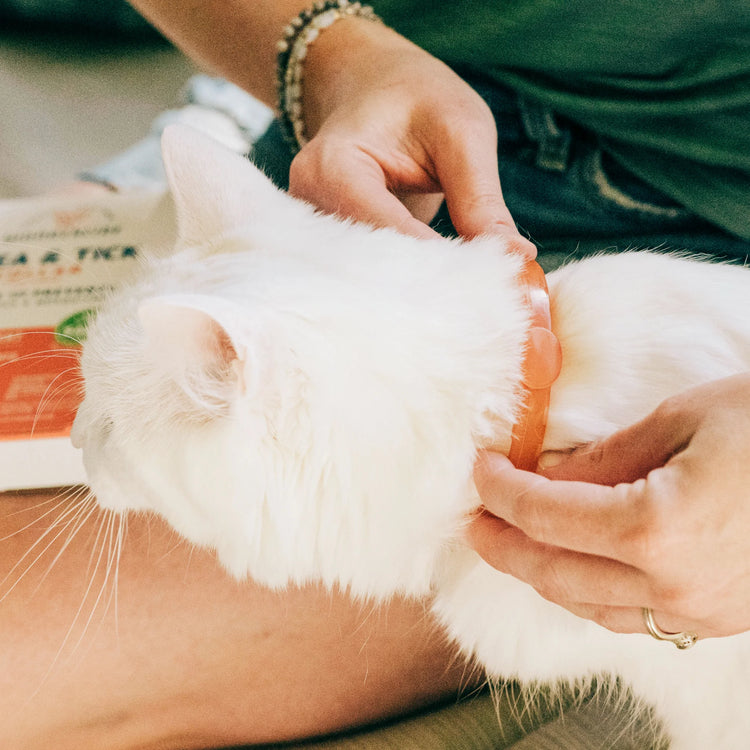 Wondercide Flea & Tick Collar – Cats