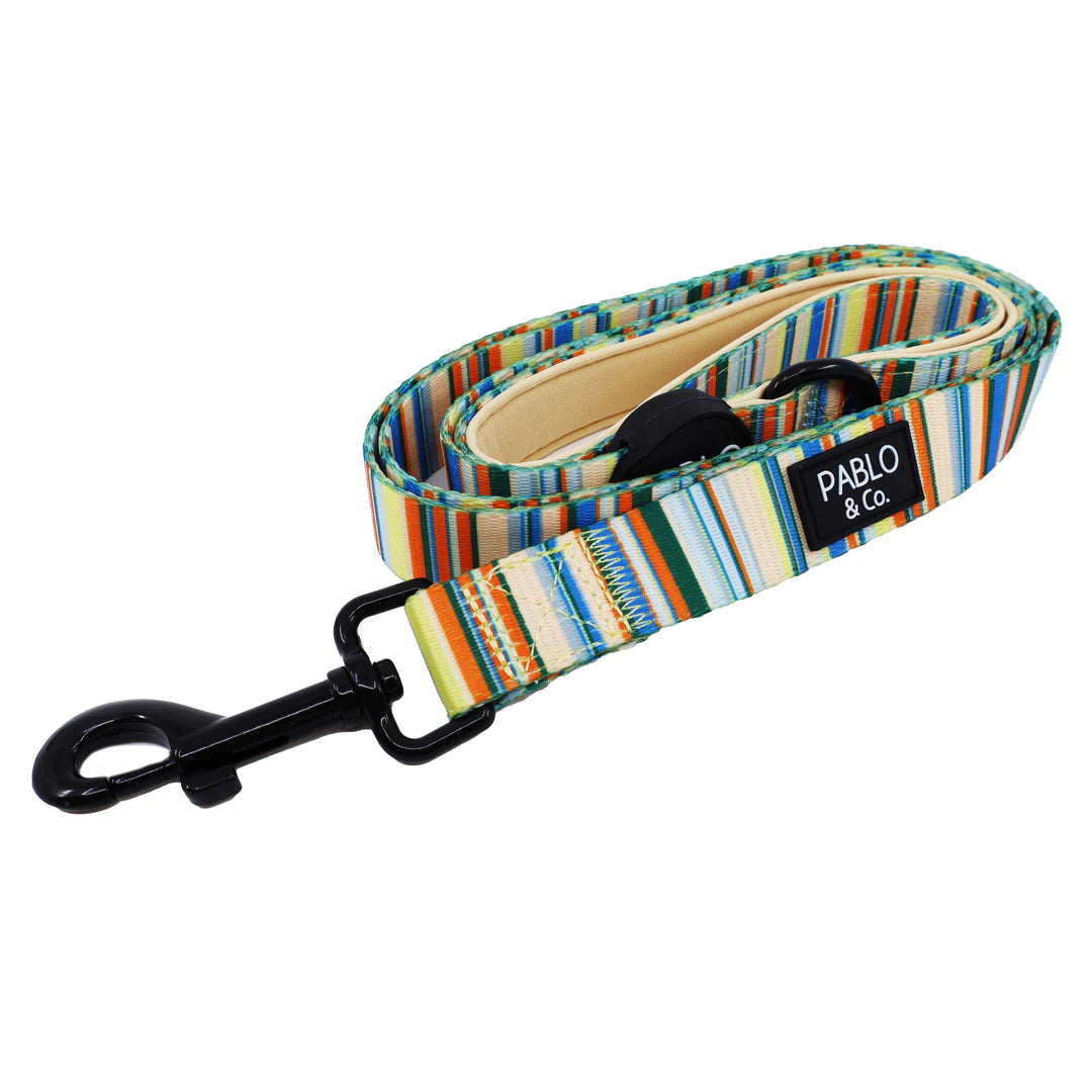Pablo & Co. Dog Leash – The Cabana Design