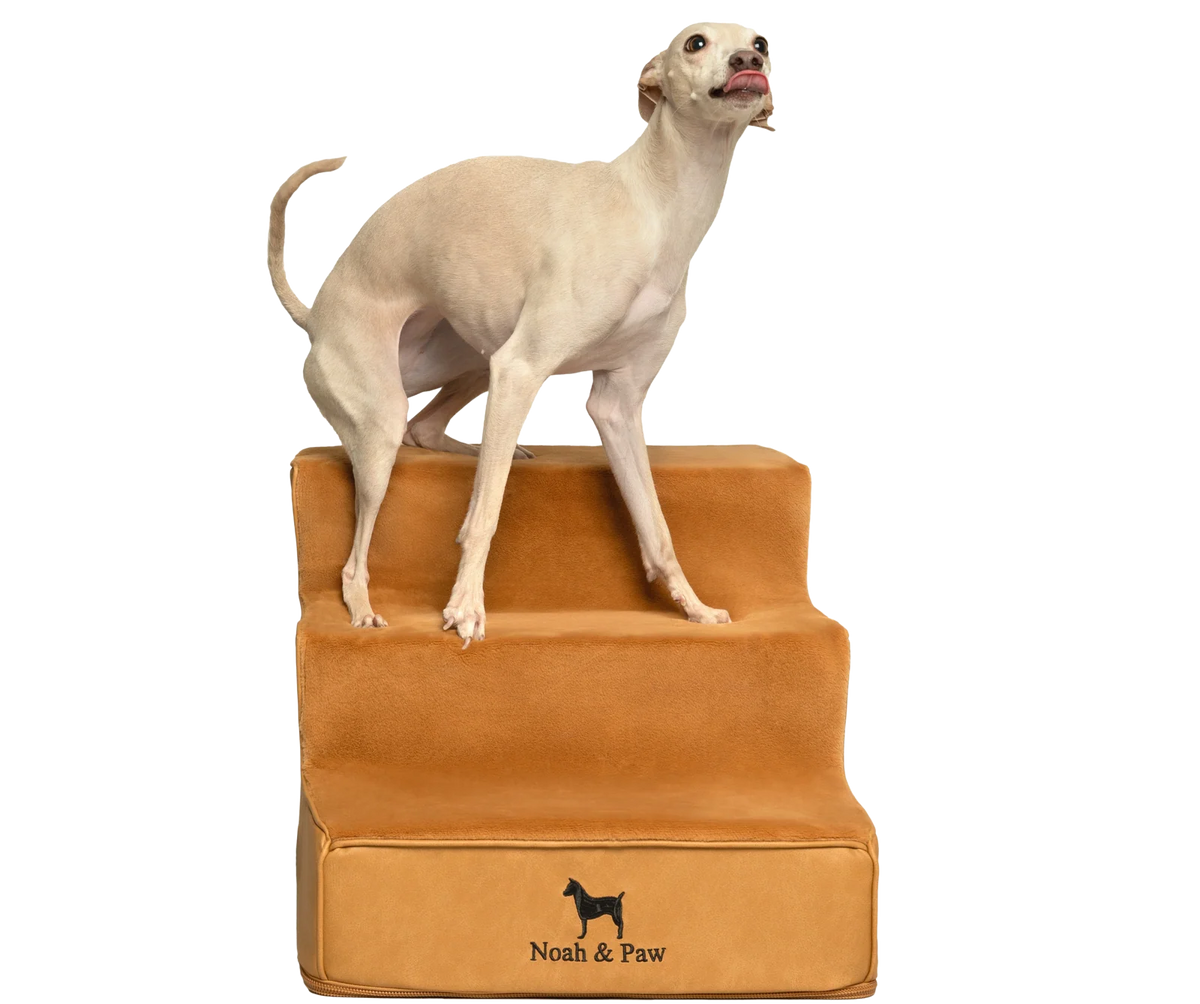 Faux Leather Dog Stairs | Noah & Paw