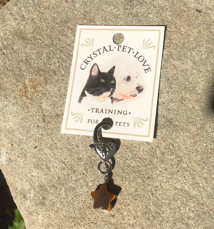 Crystal Pet Love Tiger’s Eye Star Pet Pendant