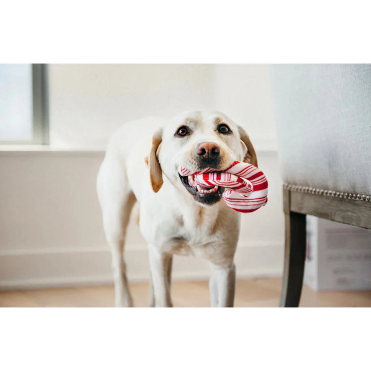 P.L.A.Y. Cheerful Candy Canes Holiday Dog Toy Set