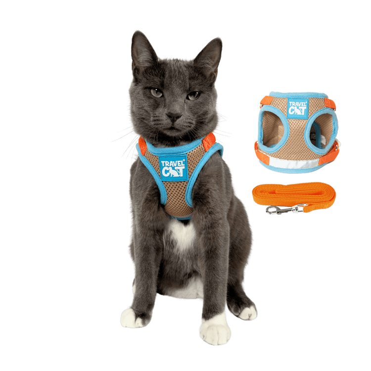 "The True Adventurer" Reflective Cat & Kitten Harness and Leash