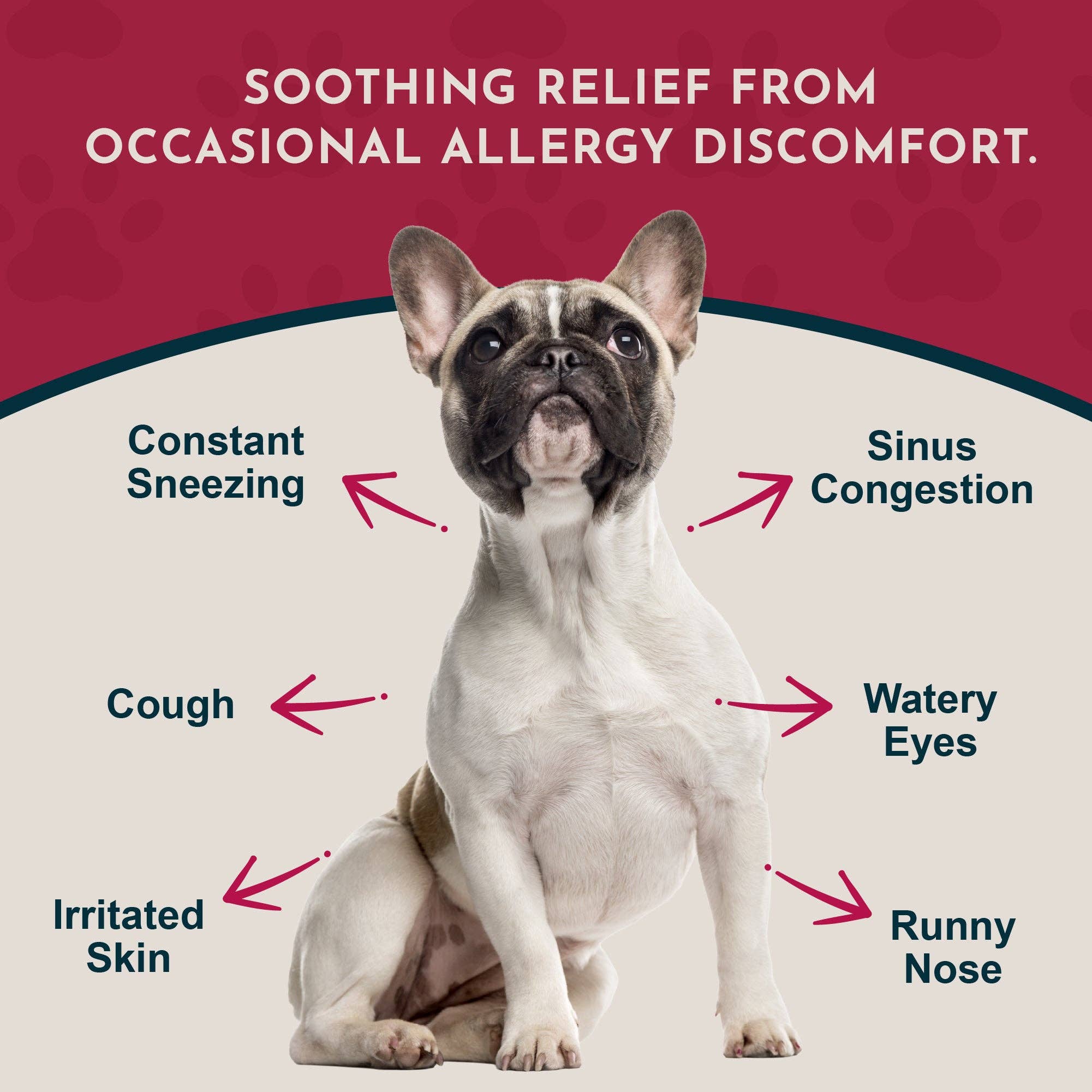 Seasonal Allergy Herbal Tonic | Maintains Normal Histamine Levels