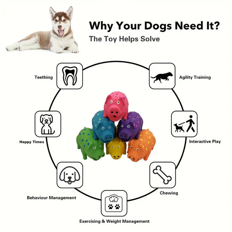 Rubber Pig Dog Toy