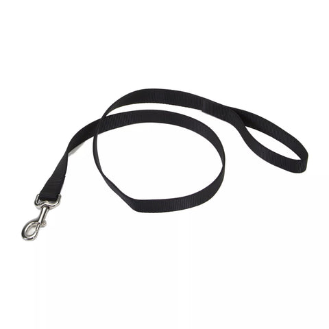 Coastal Pet Nylon Leash