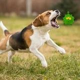 Squeaky Thorn Ball Toy for Cats & Dogs