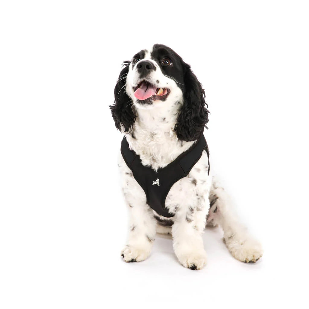 Gooby - Escape Free Memory Foam Harness