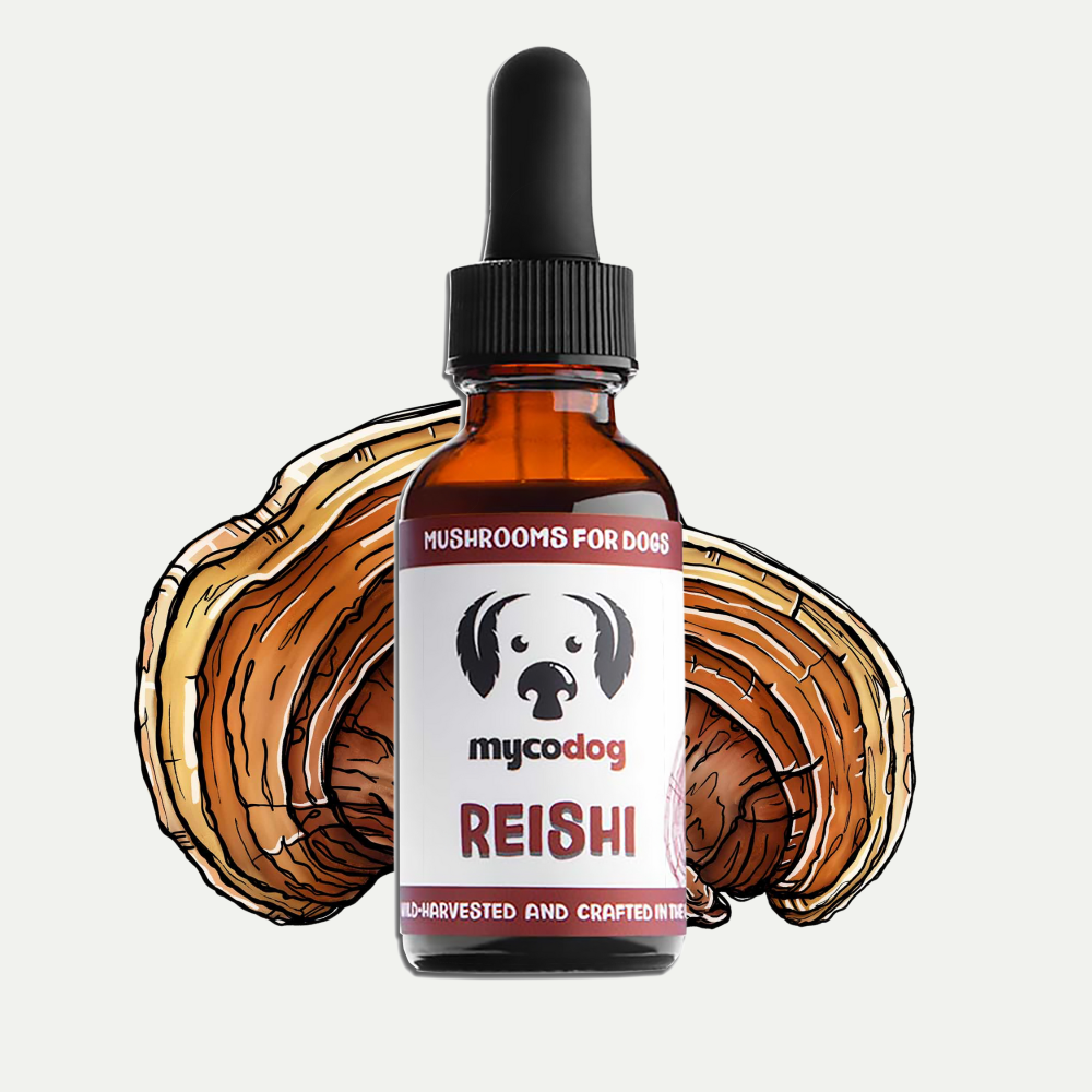 Reishi Mushroom Tincture for Dogs | Emotional Balance