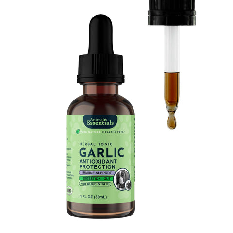 Garlic Single Herb Tonic | Antioxidant Protection