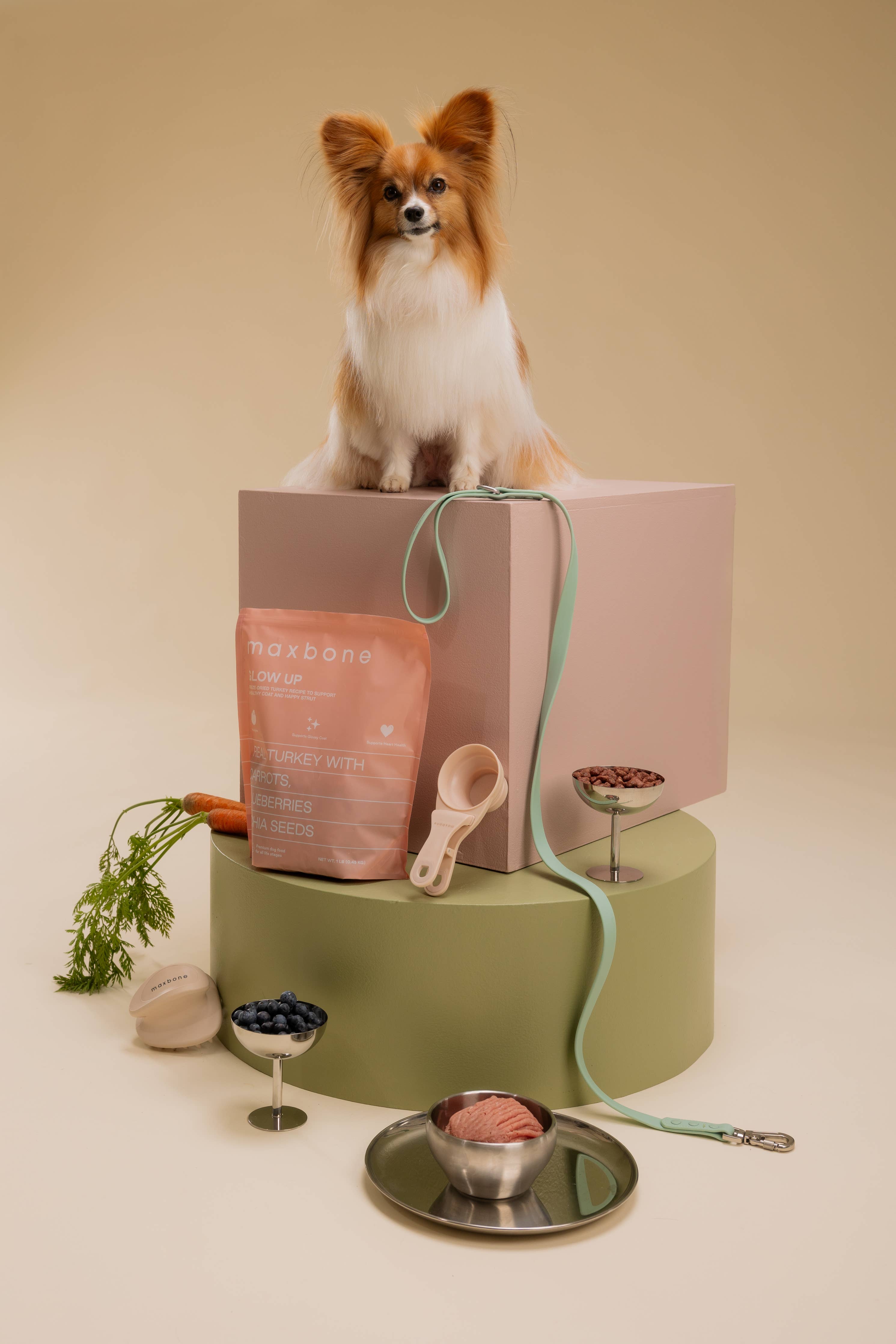 GLOW UP Turkey Freeze-Dried Dog Food