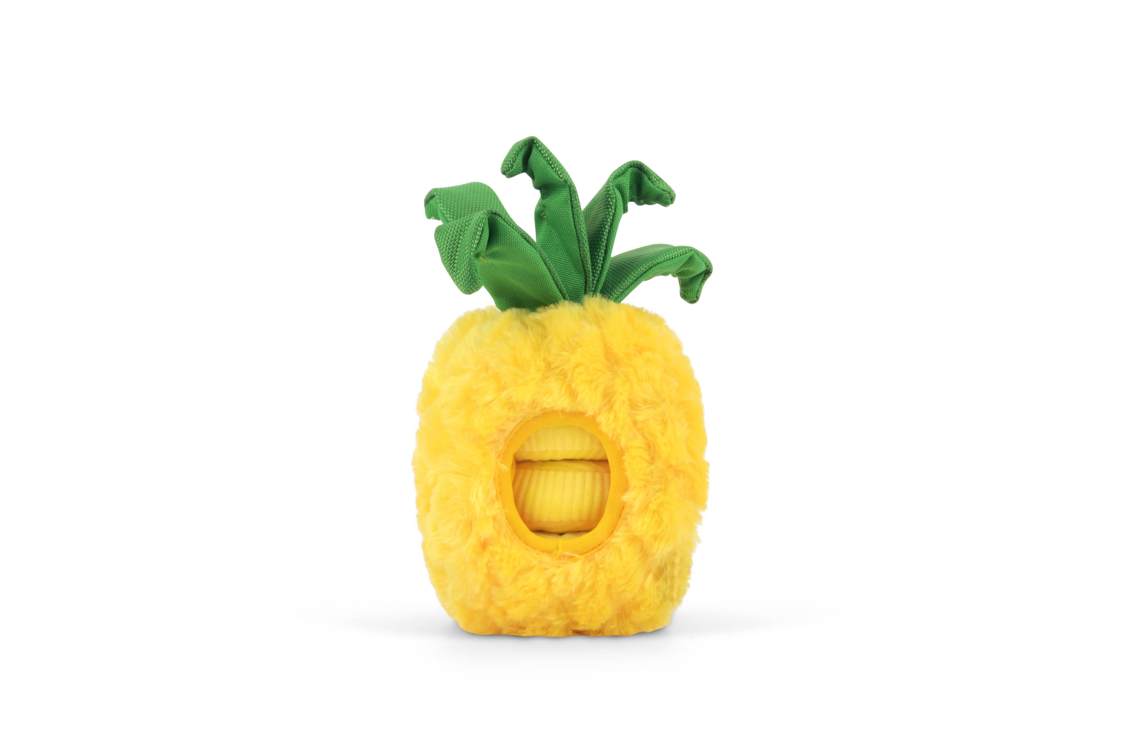 Tropical Paradise_Paws Up Pineapple