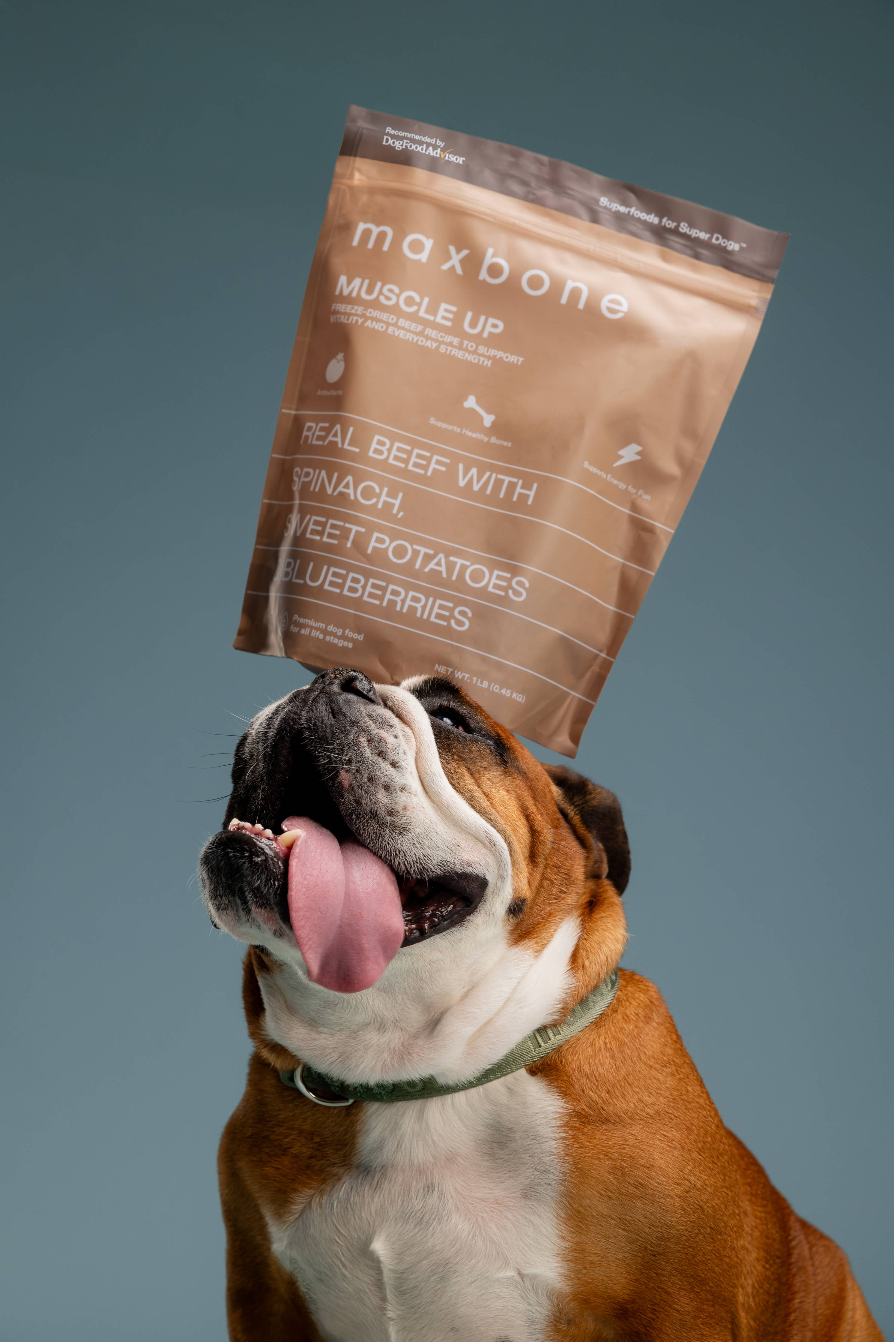 MUSCLE UP Beef Freeze-Dried Dog Food