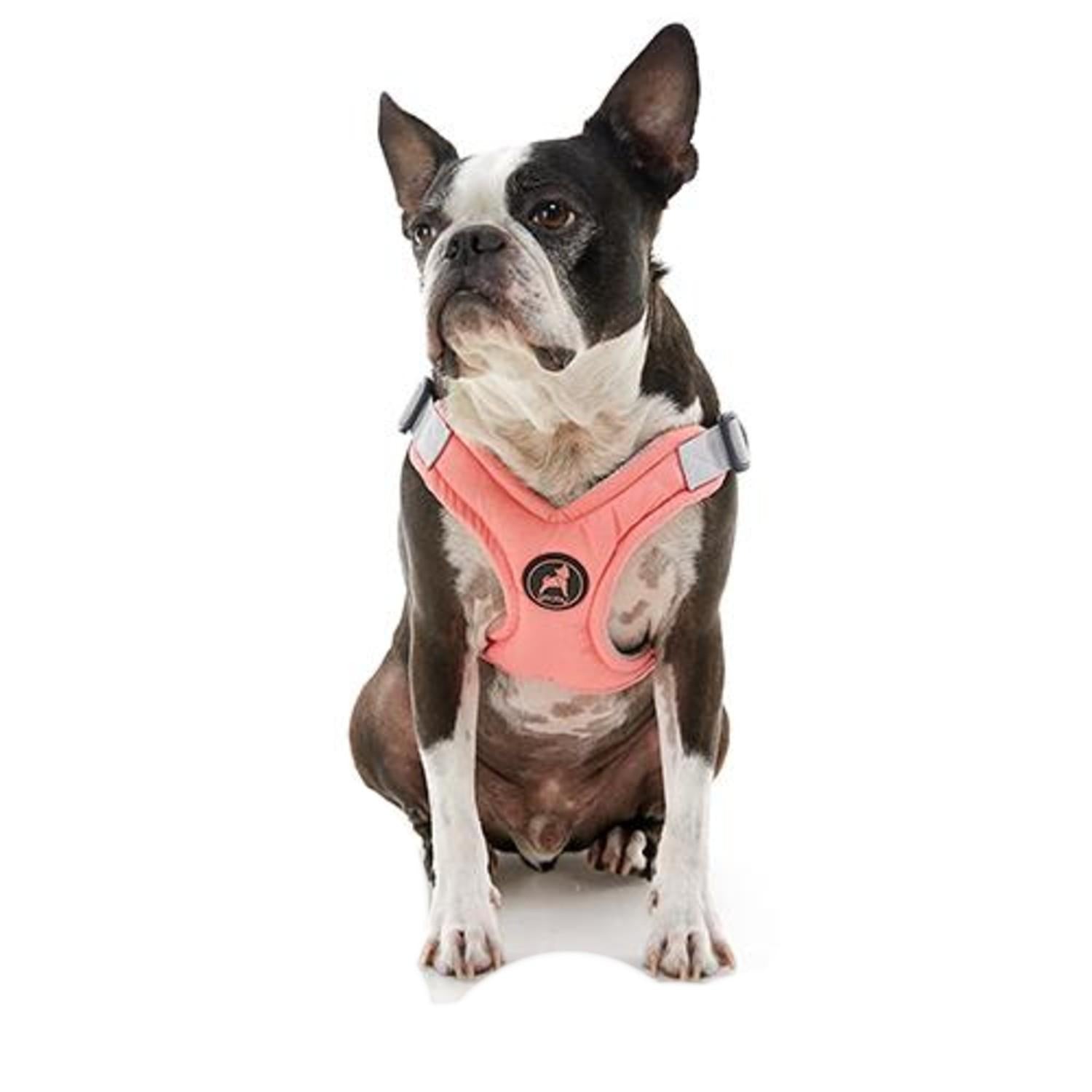 Gooby Memory Foam Step-In Dog Harness – Large