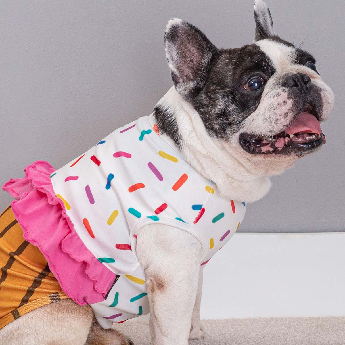 Cupcake Dog Costume with Sprinkles and Pink Ruffles