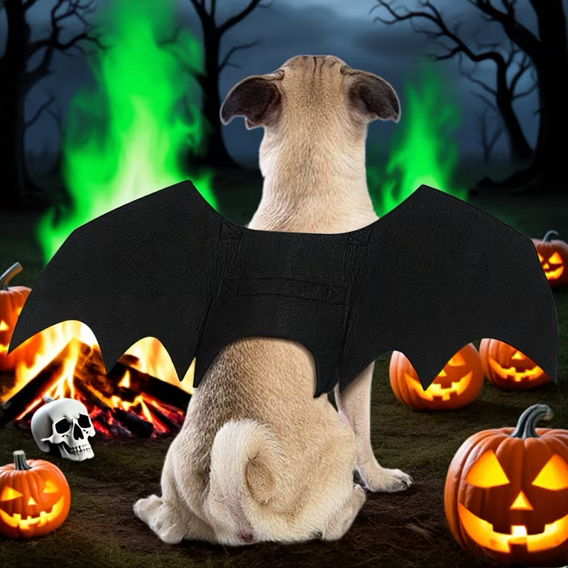 Halloween Bat Costume for Dogs & Cats