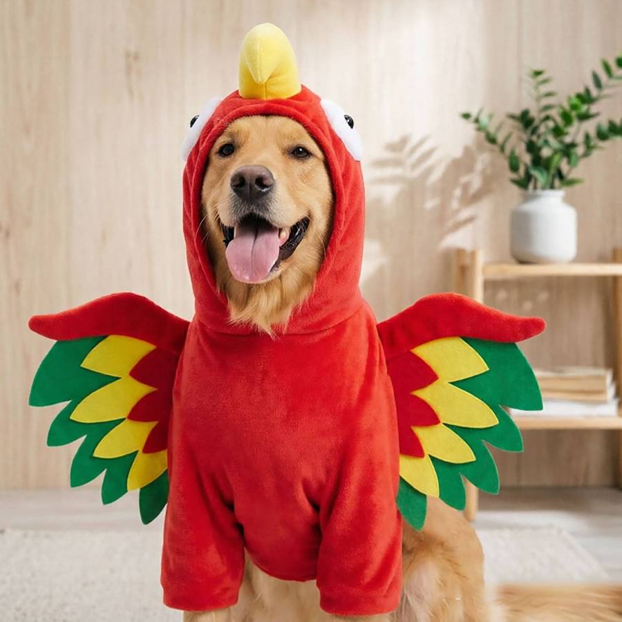 Colorful Parrot Dog Costume with Hood and Wings