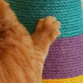 Modern Cone Cat Scratching Post