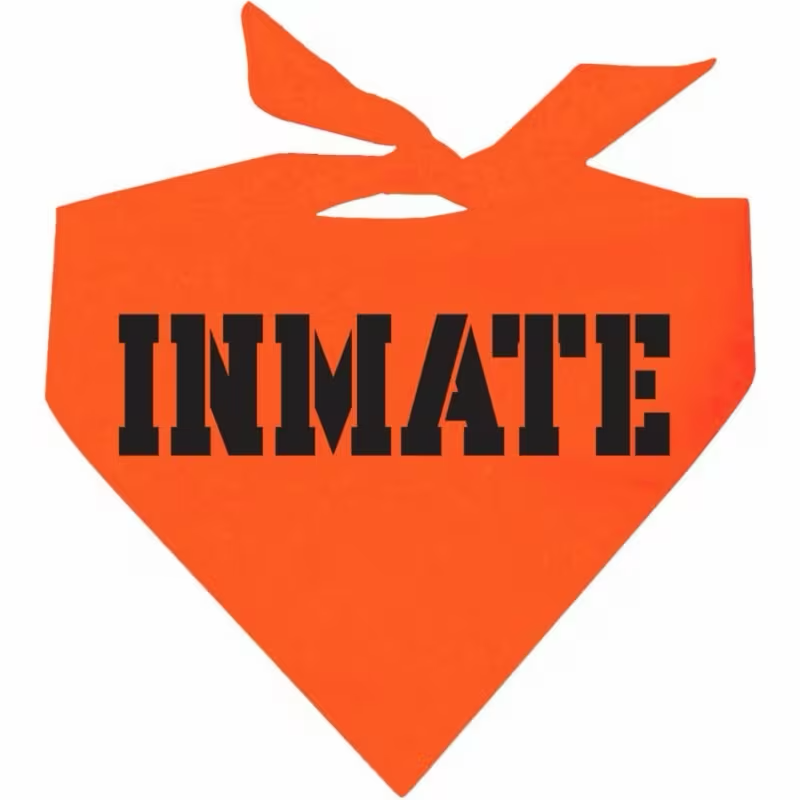Orange “Inmate” Pet Bandana – Halloween Costume Accessory