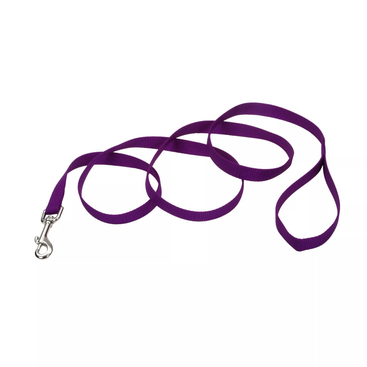 Coastal Pet Nylon Leash