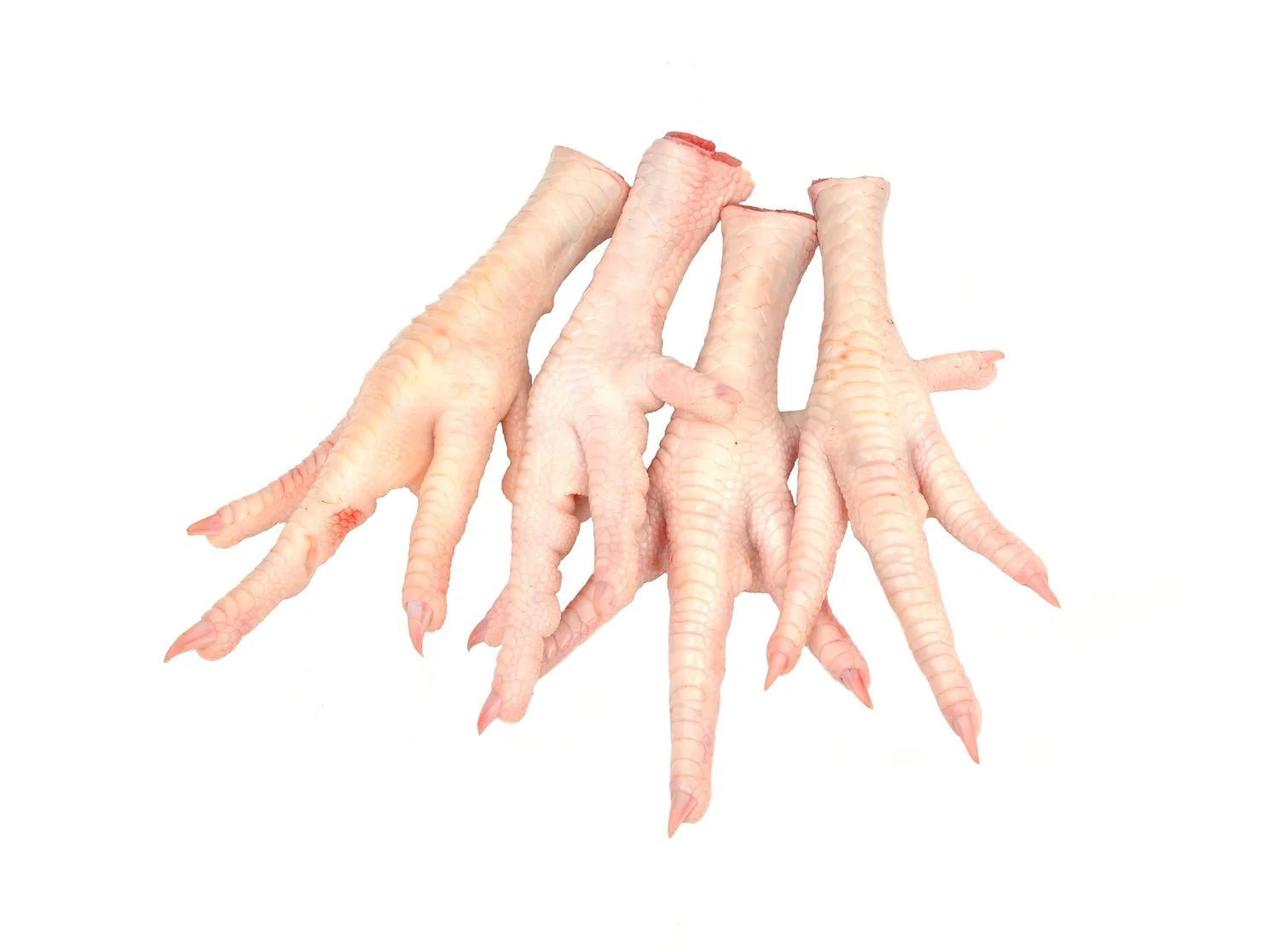 Shinto’s Raw Chicken Feet – 16 oz