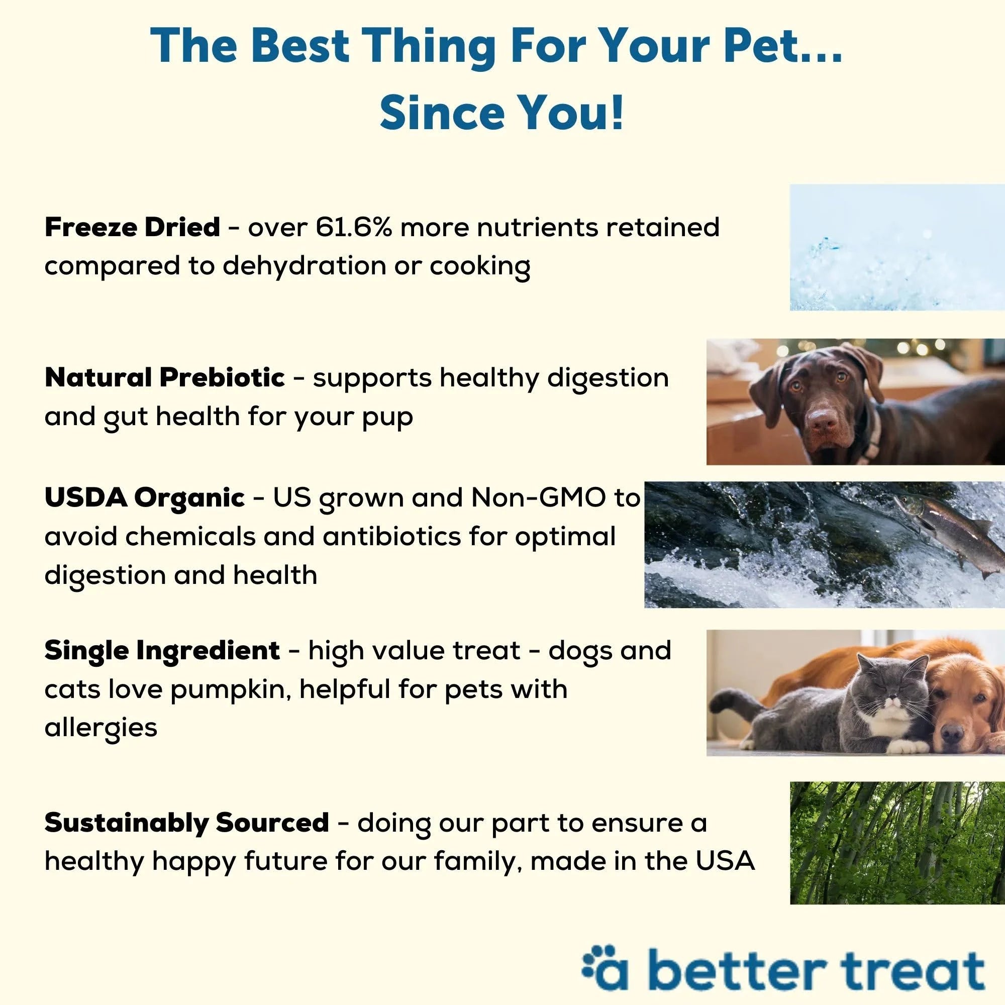 A Better Treat Organic Freeze-Dried Pumpkin – Stomach-Soothing Dog Treats, 1 oz