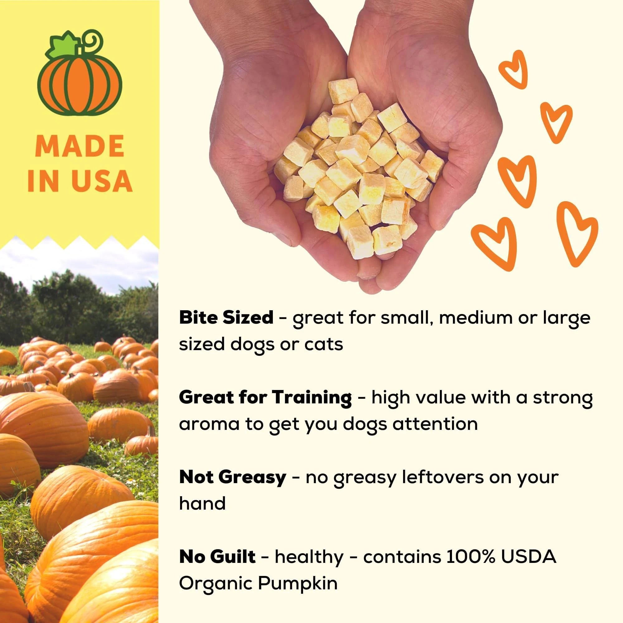 A Better Treat Organic Freeze-Dried Pumpkin – Stomach-Soothing Dog Treats, 1 oz