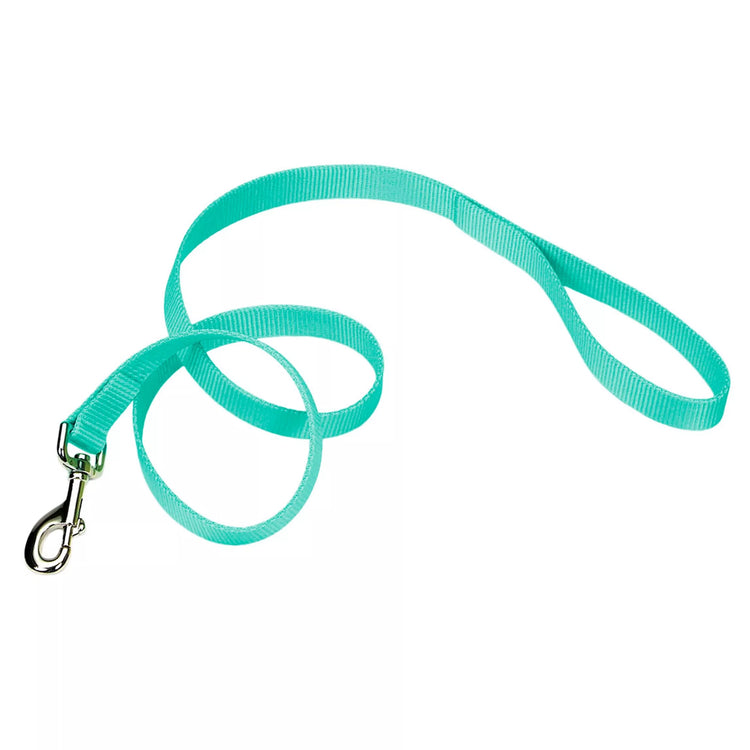 Coastal Pet Nylon Leash