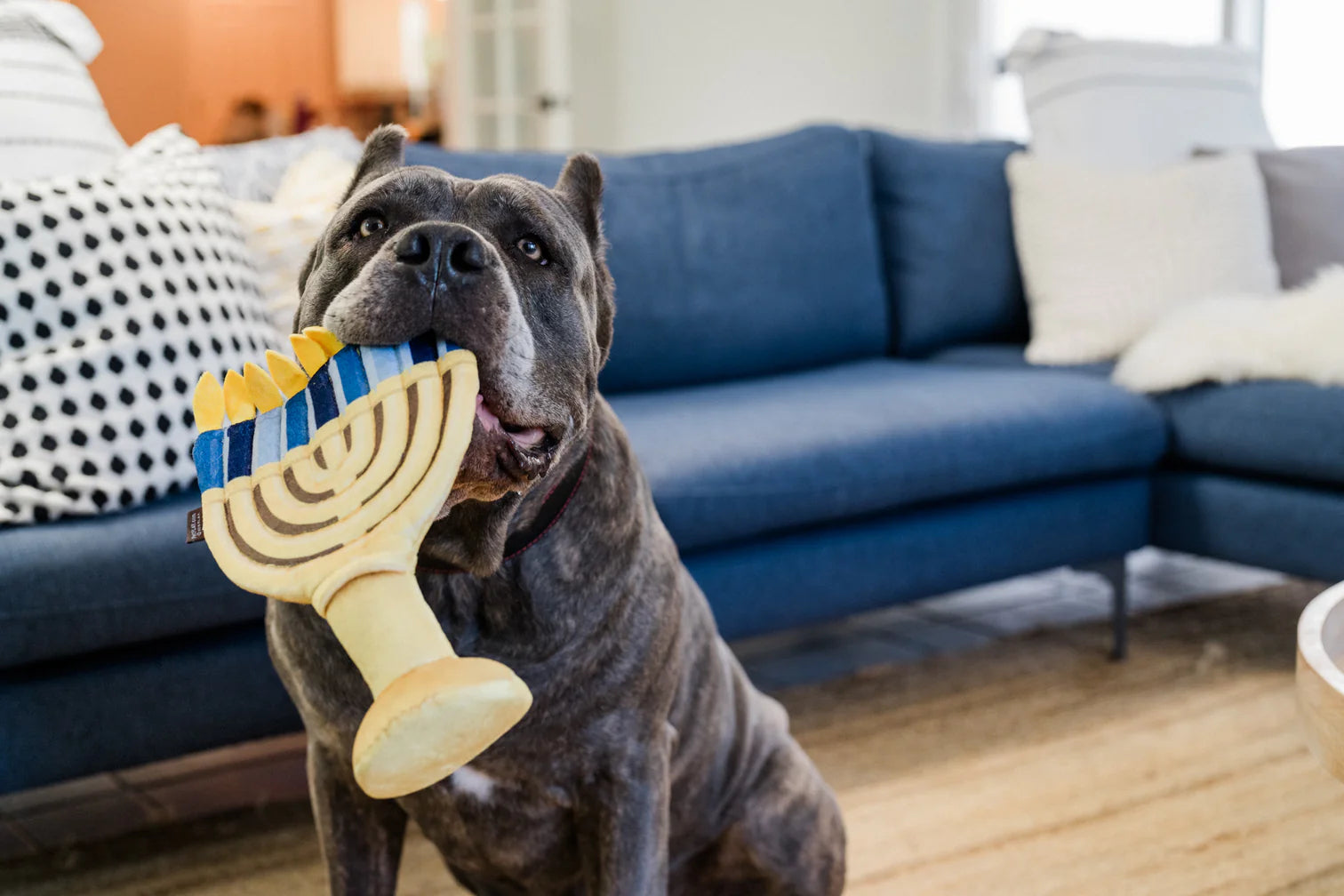 P.L.A.Y. Paw-nukkah Menorah Plush Dog Toy – Hanukkah Festive Squeaky Toy