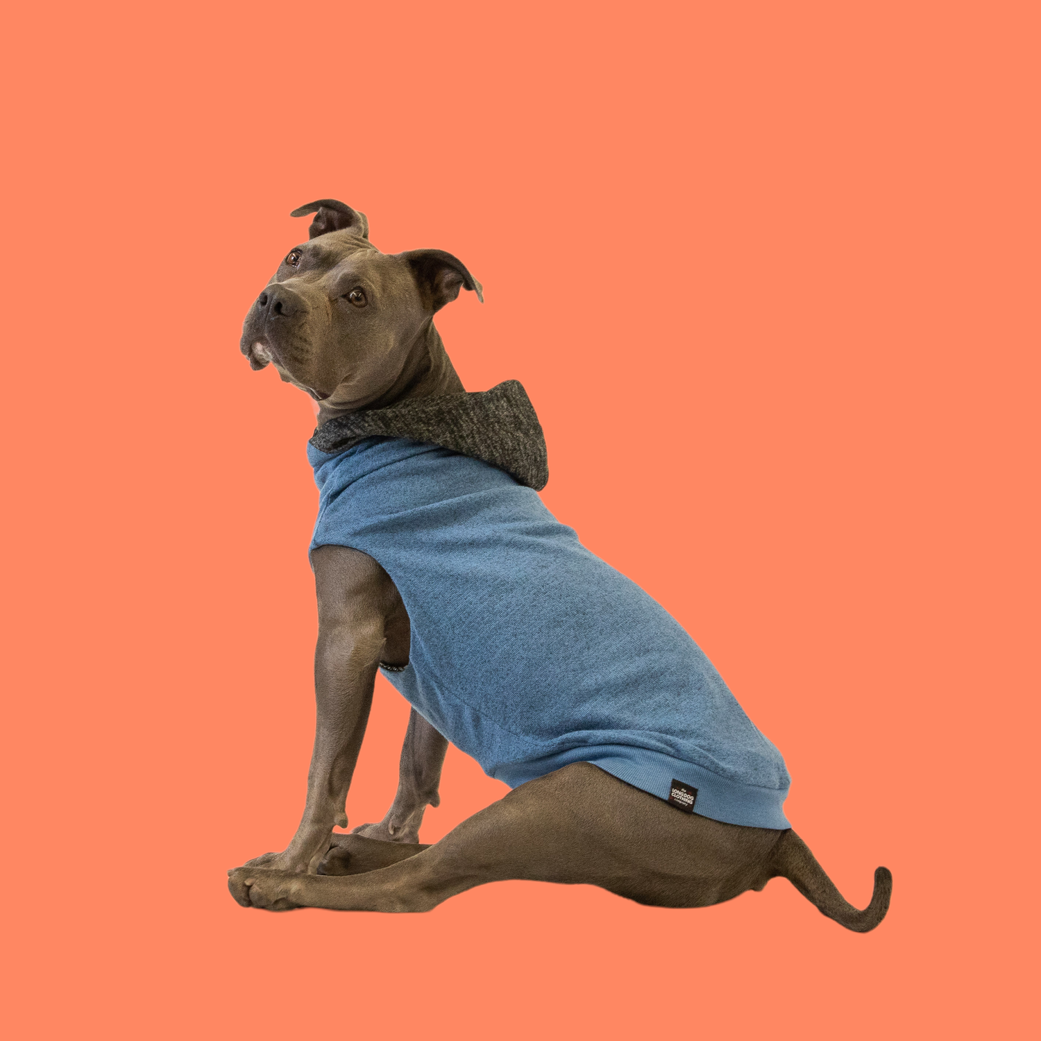 The Long Dog Reversible Dog Sweater Hoodies