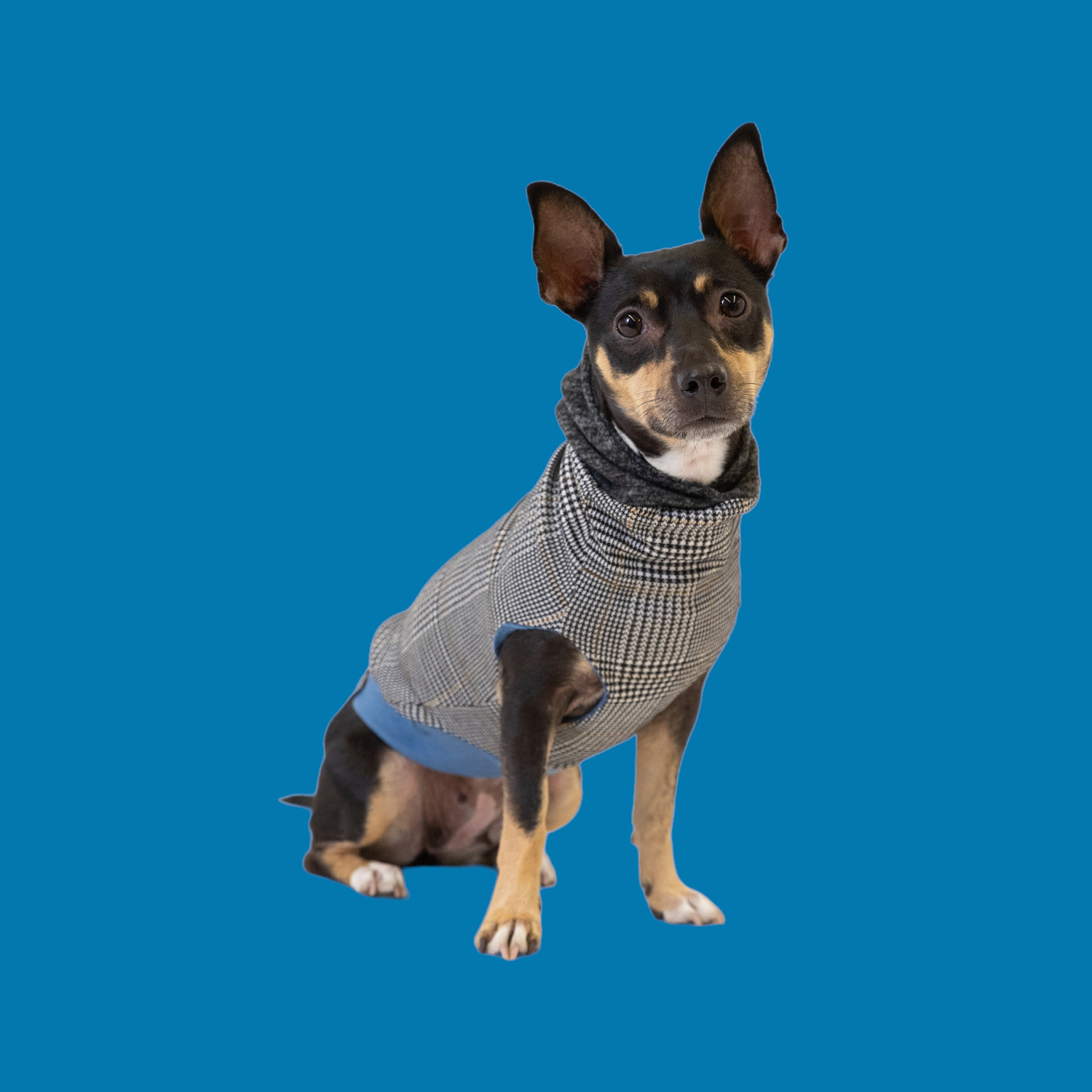 The Long Dog Reversible Dog Sweater Hoodies