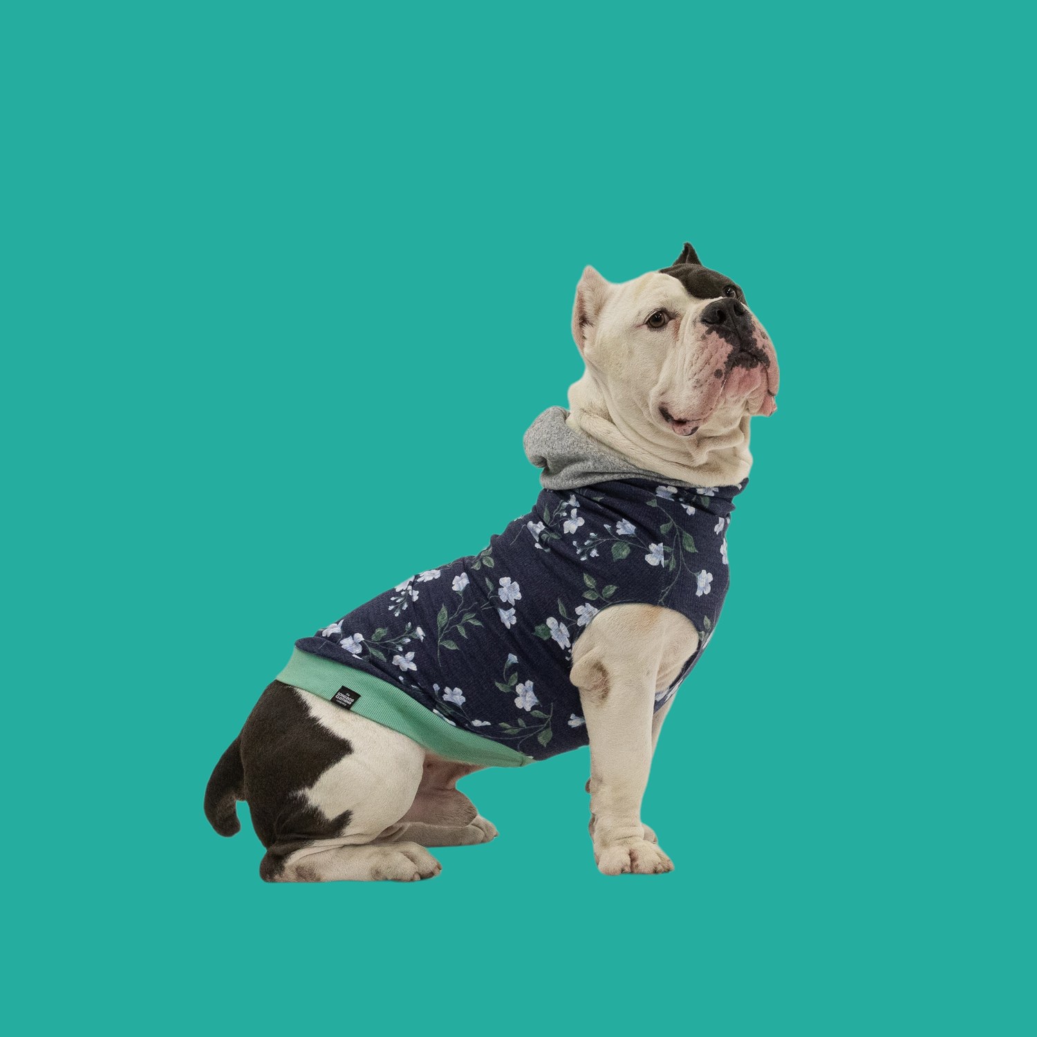 The Long Dog Reversible Dog Sweater Hoodies