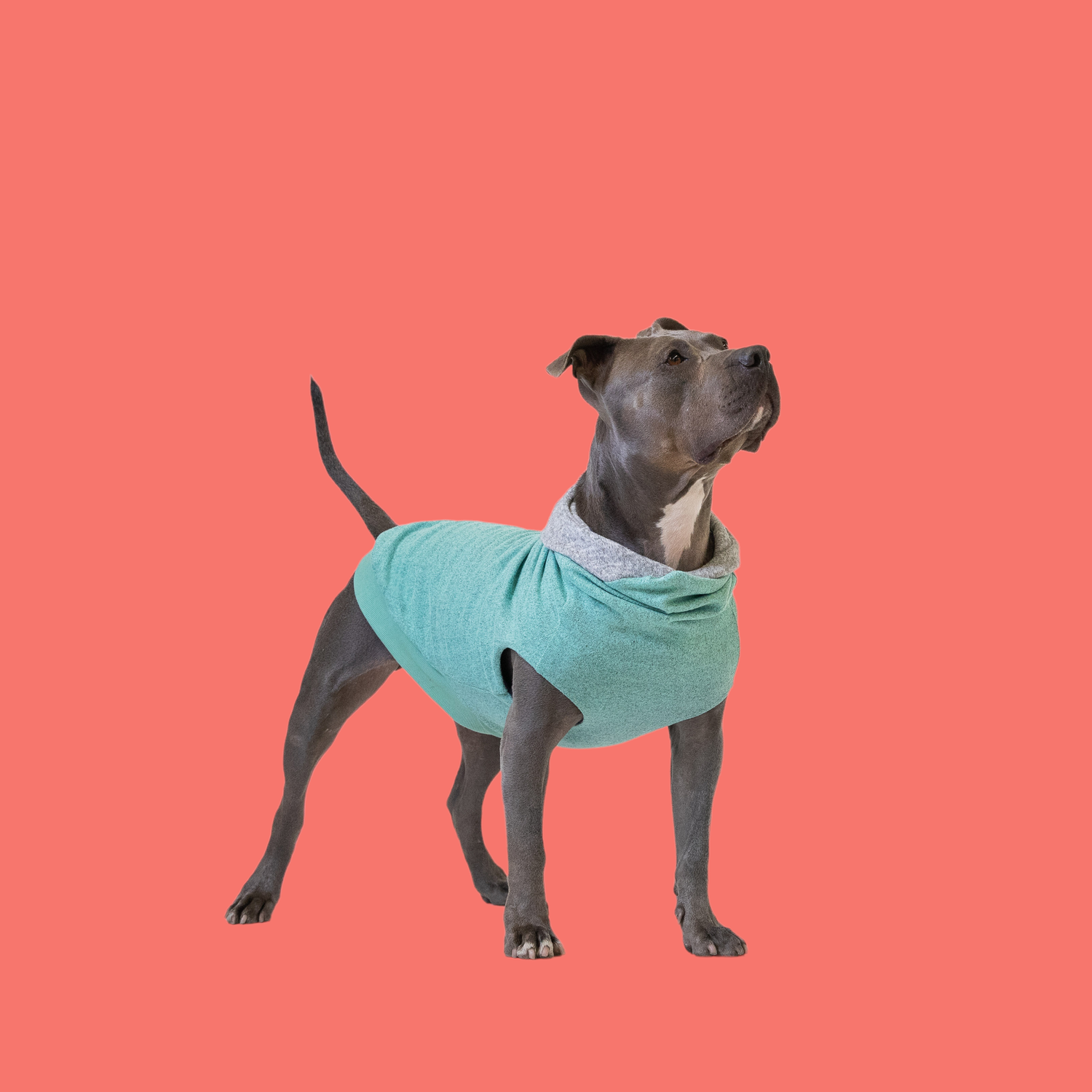 The Long Dog Reversible Dog Sweater Hoodies