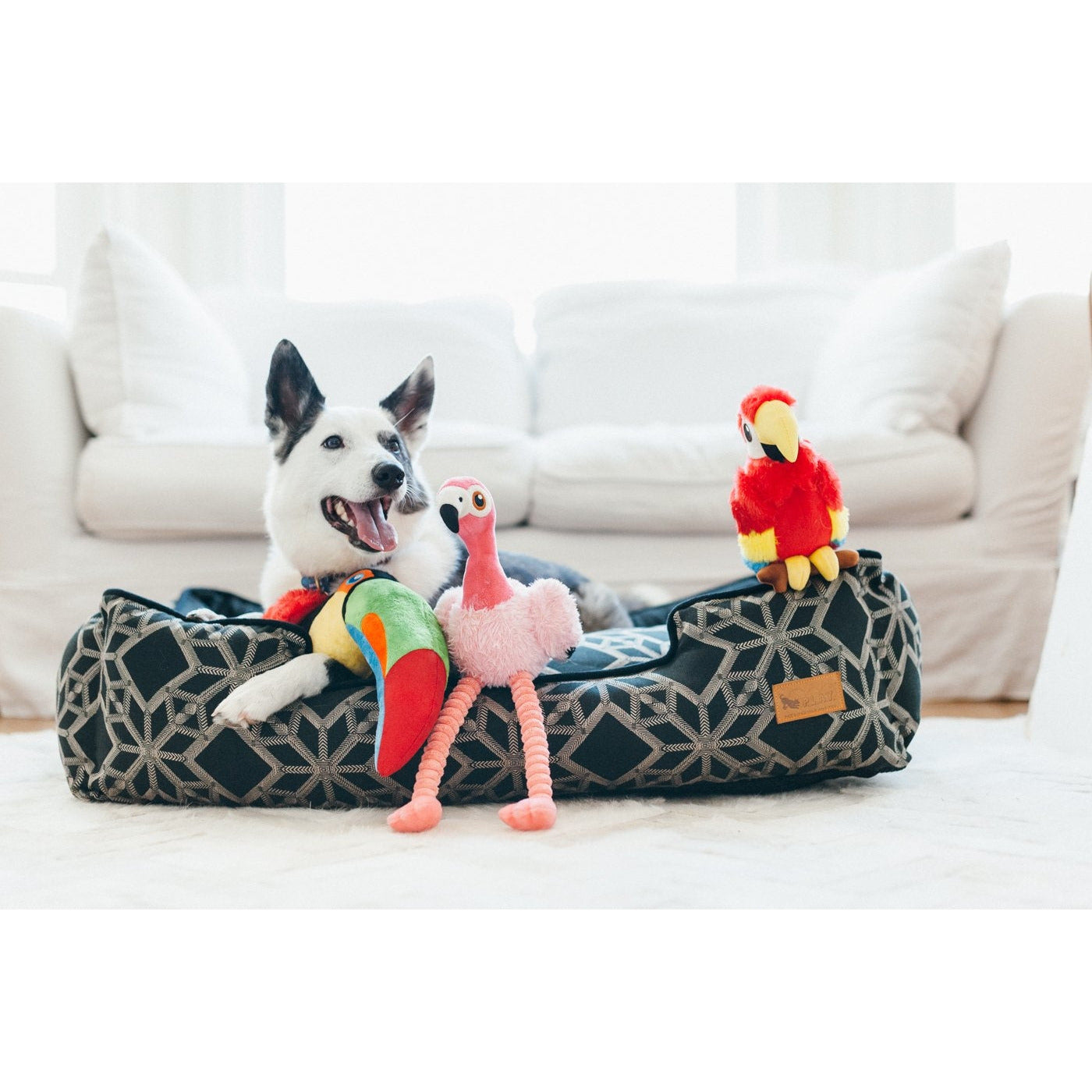 Fetching Flock Collection